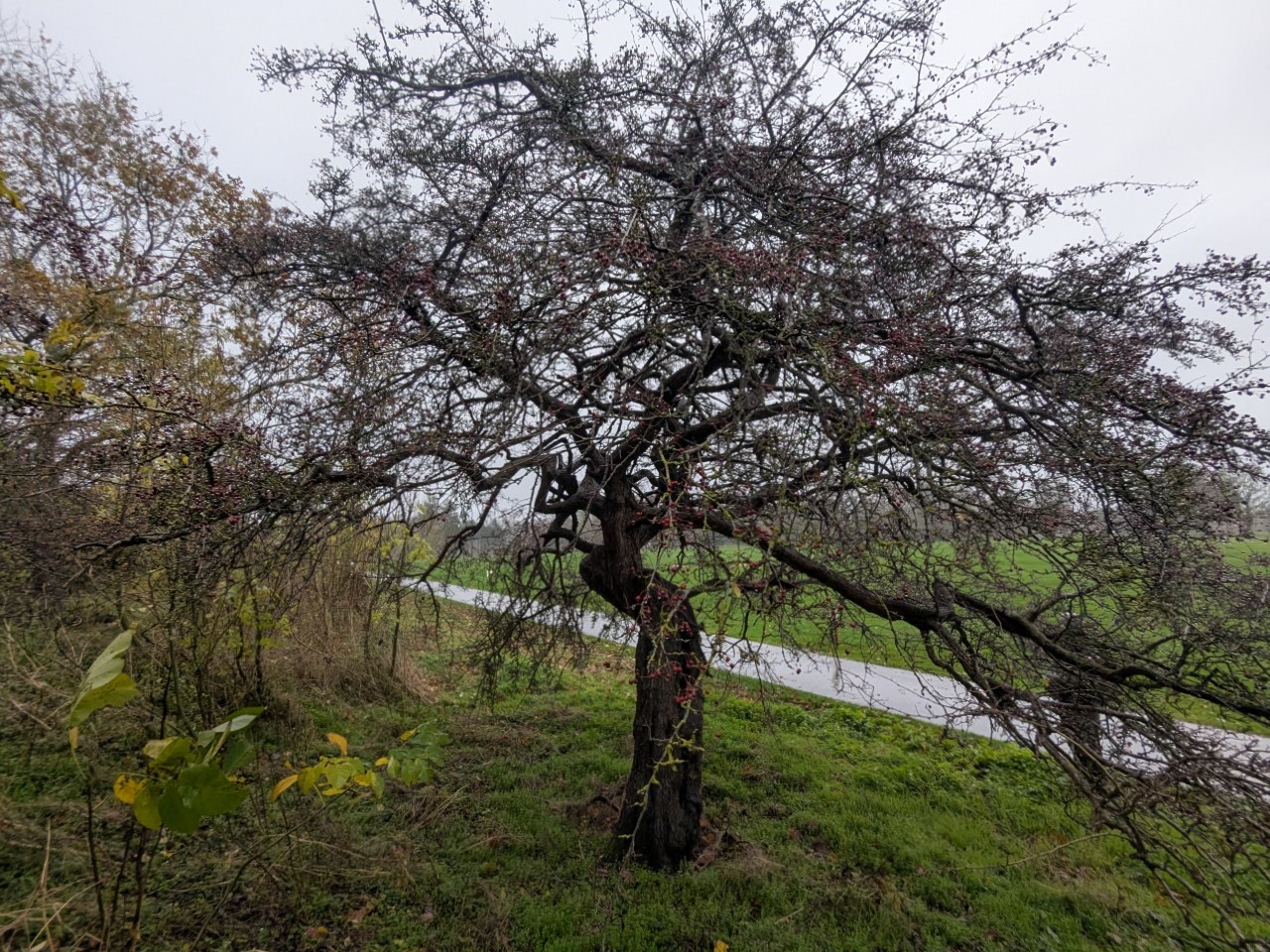 54923500498_4e5b0691d1_o