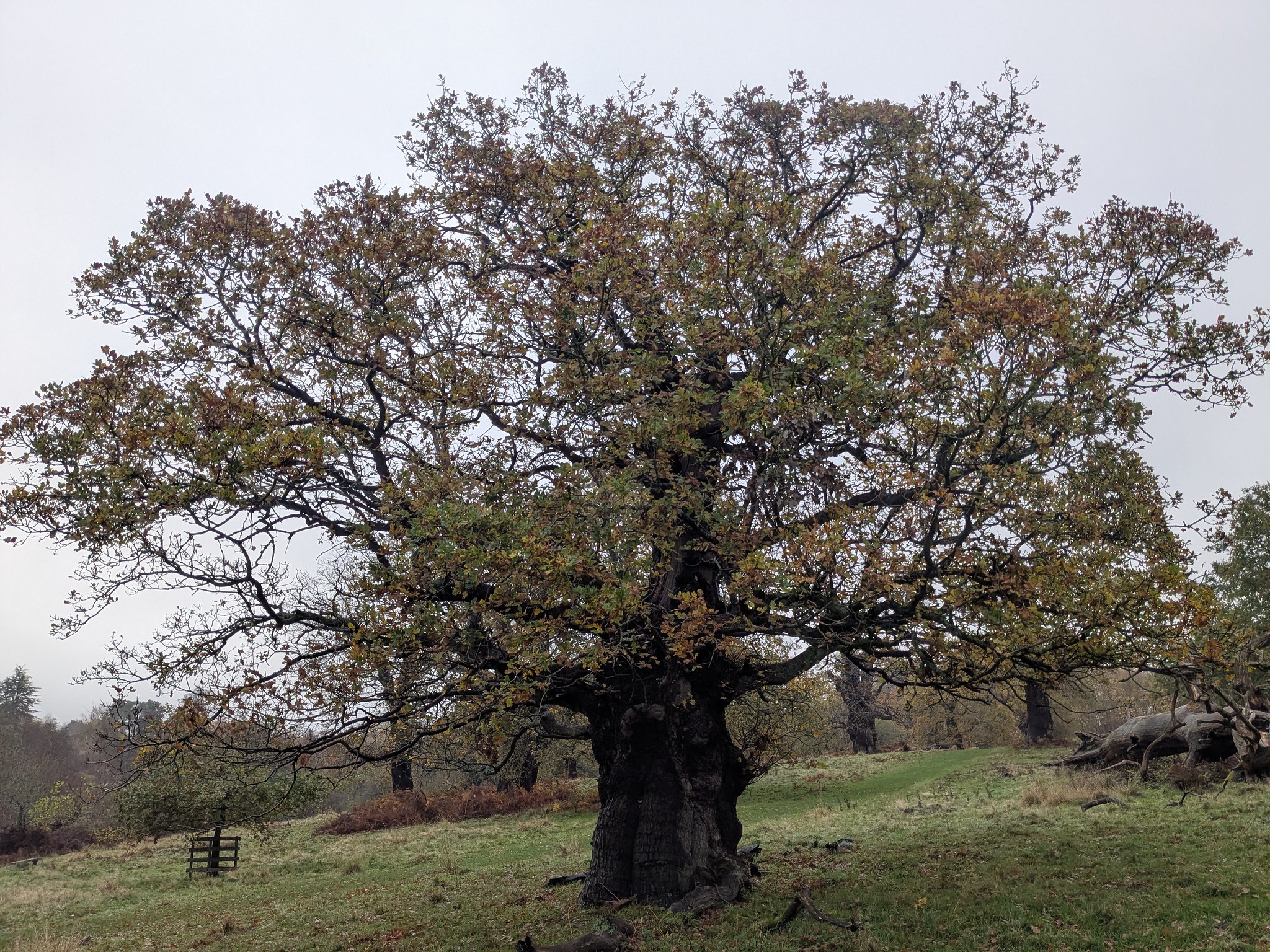 54925780006_e2479c34fb_k