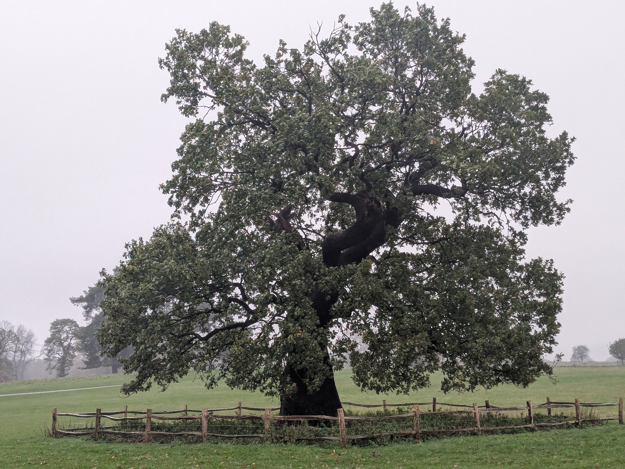 54925780371_ed67513f76_k