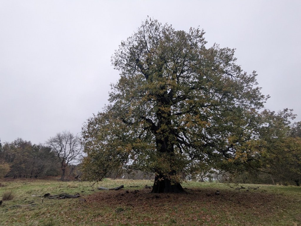 54925980143_7d1ac27745_b