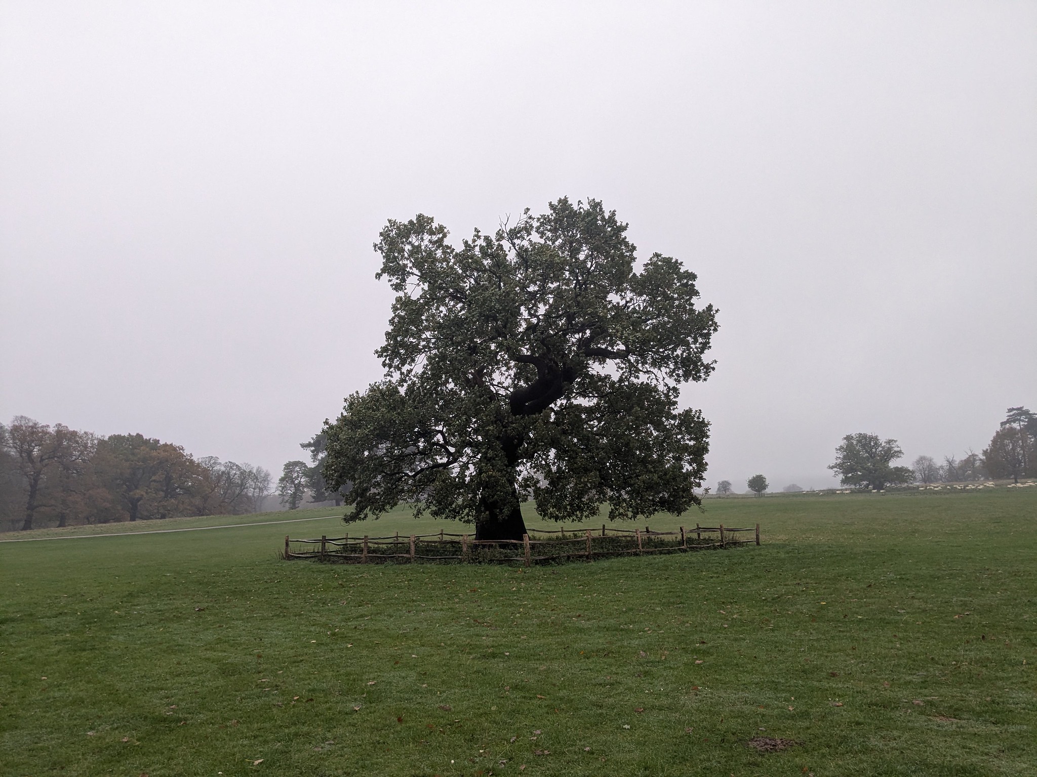 54925980923_f49acadacb_k