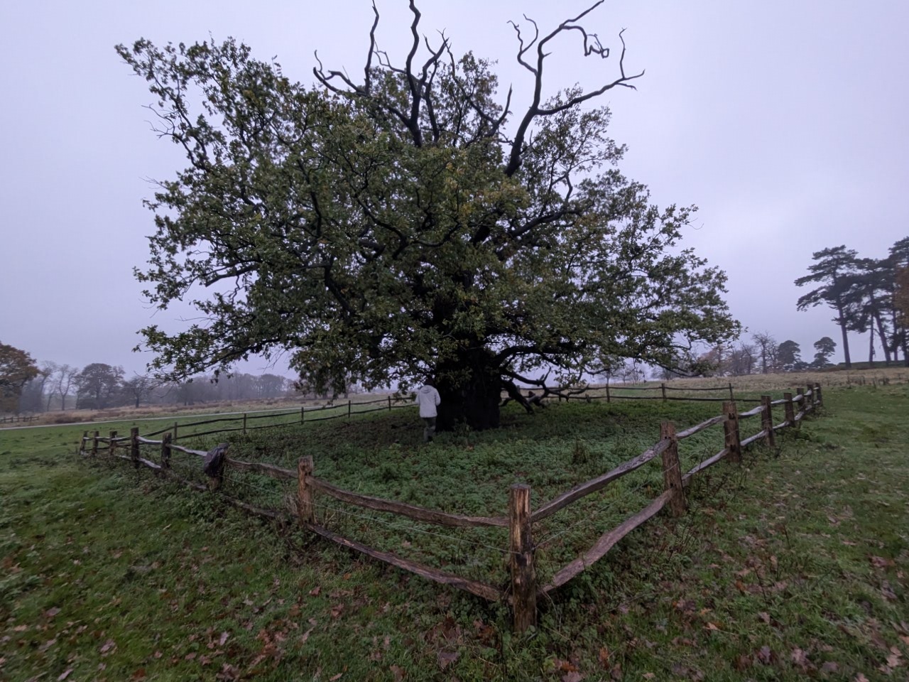 54926029634_9e9362677e_o