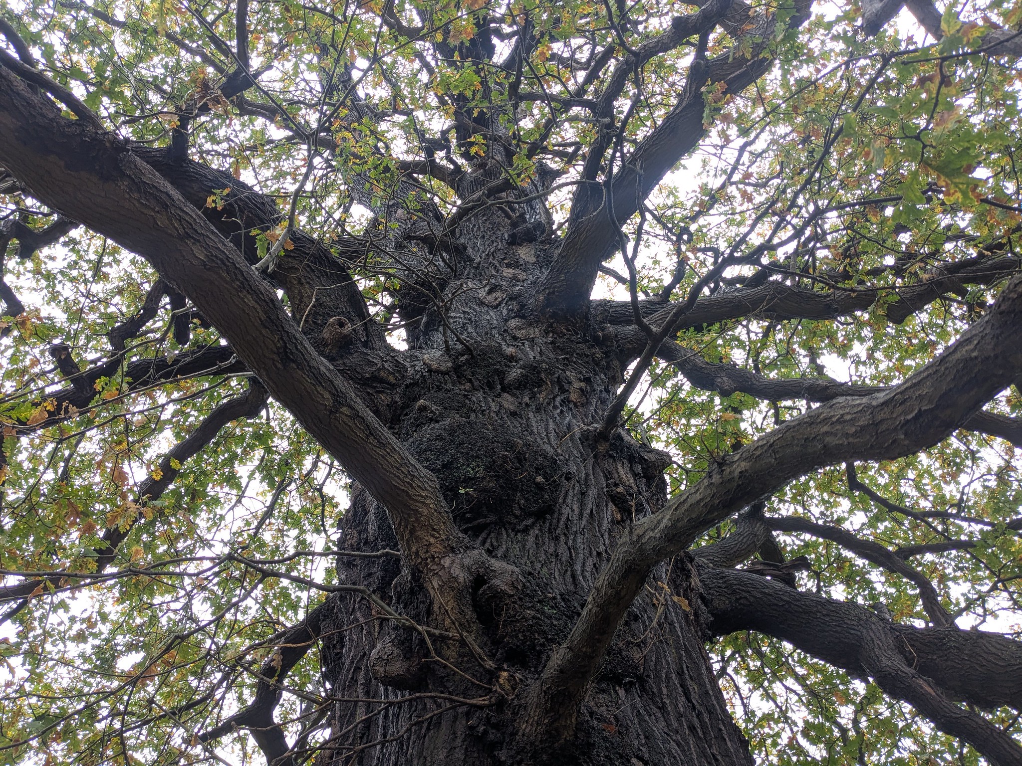 54926083500_69ccc69551_k