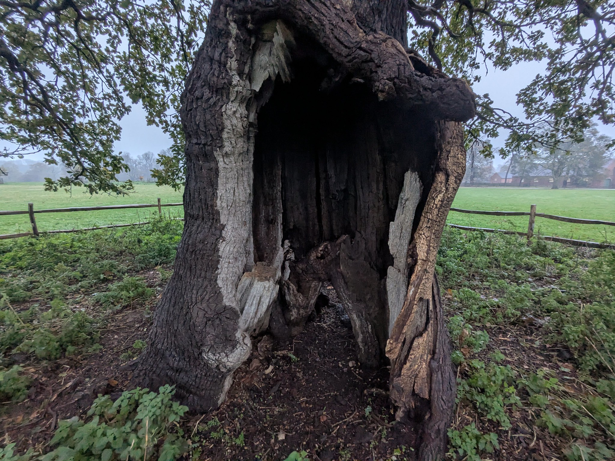 54926084565_875534d8c5_k