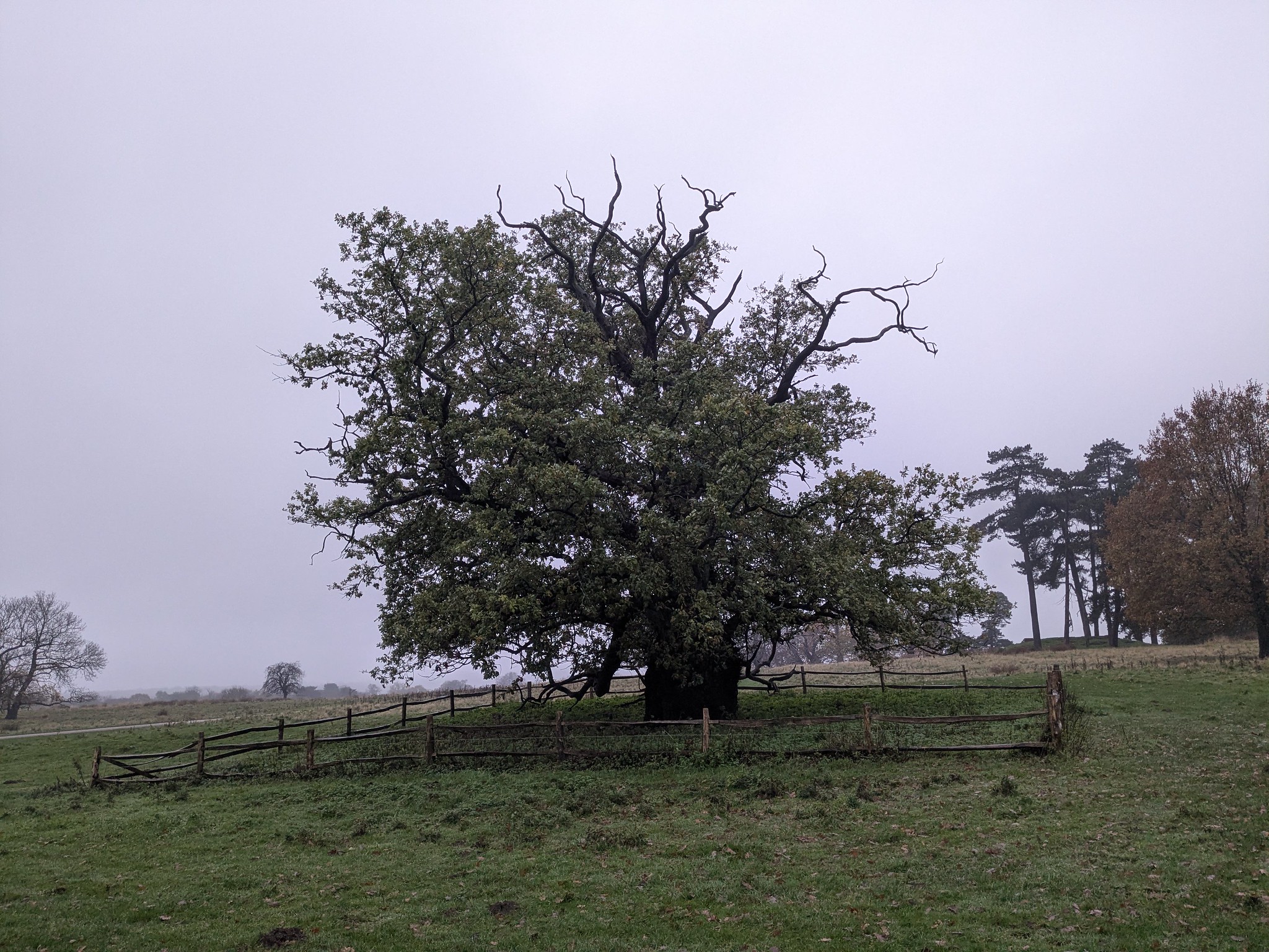 54926084935_1b079ccbd2_k