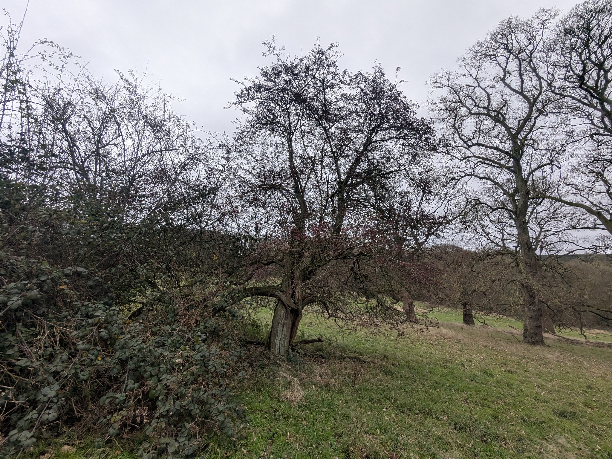 54949402922_a4902d6f65_k