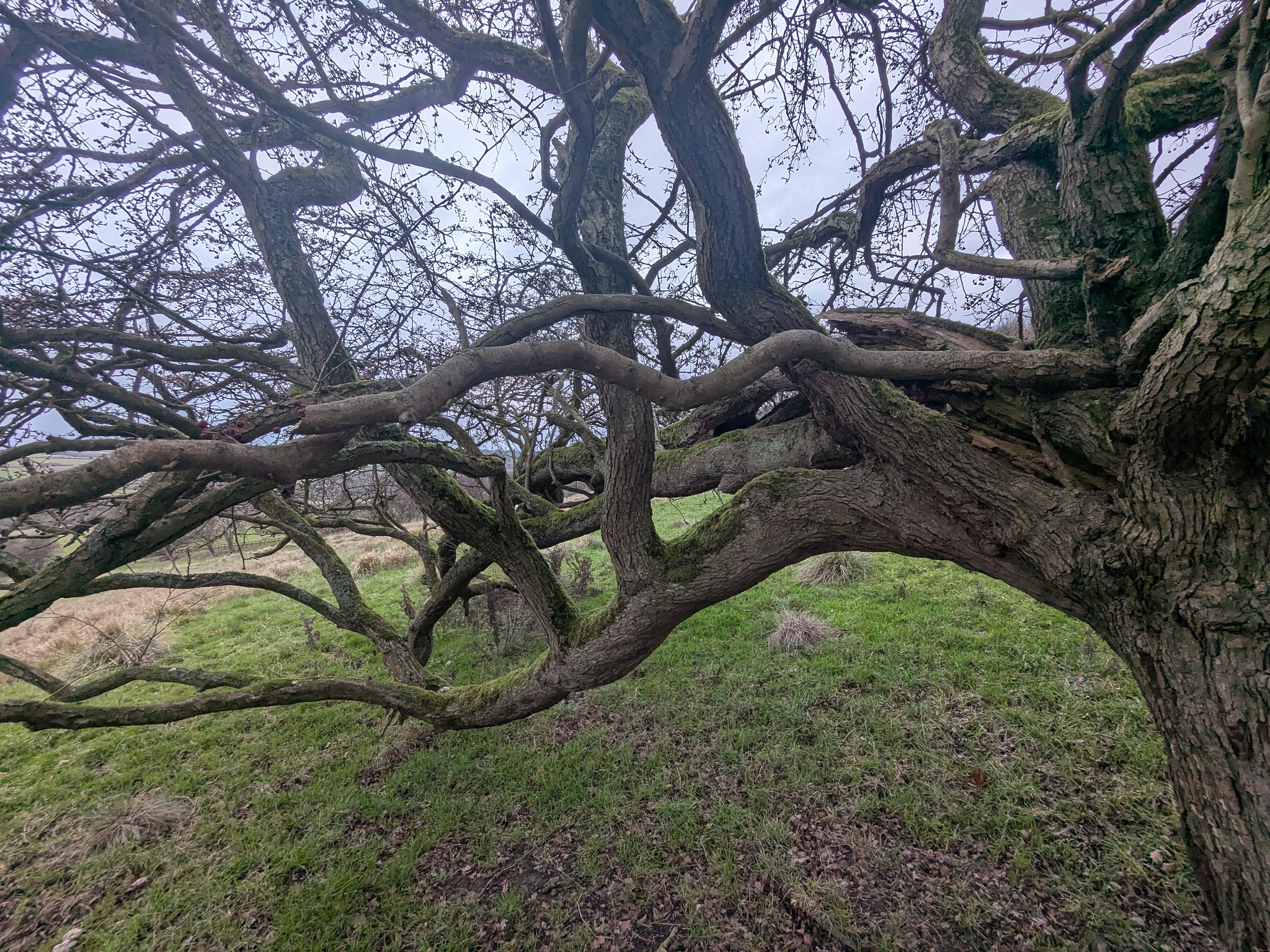 54949446132_632c8e49b0_k