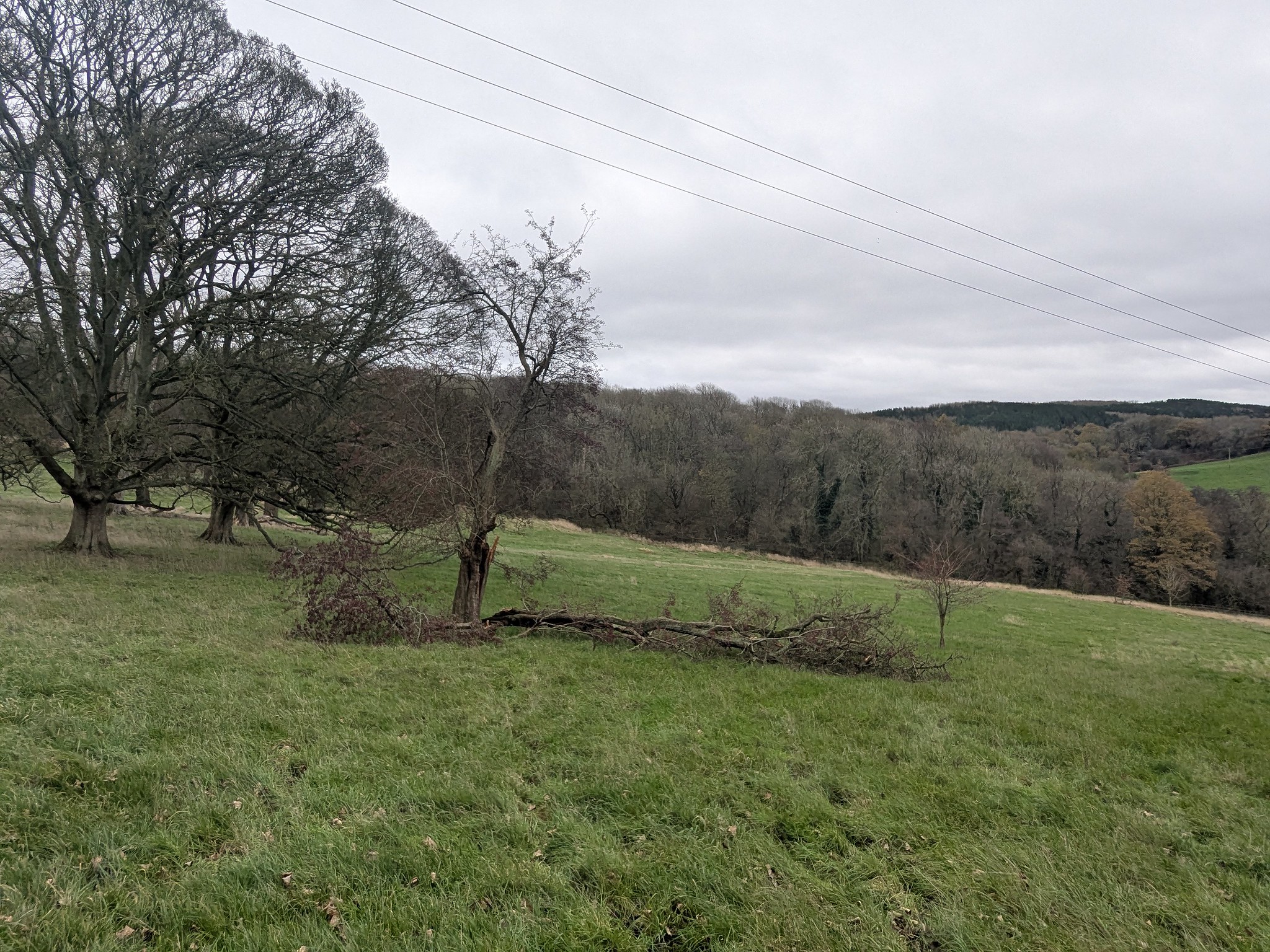 54950289316_06c7378715_k