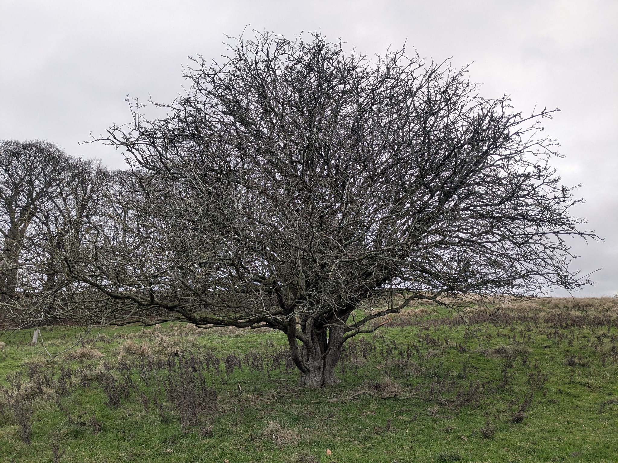 54950529198_3144834a97_k