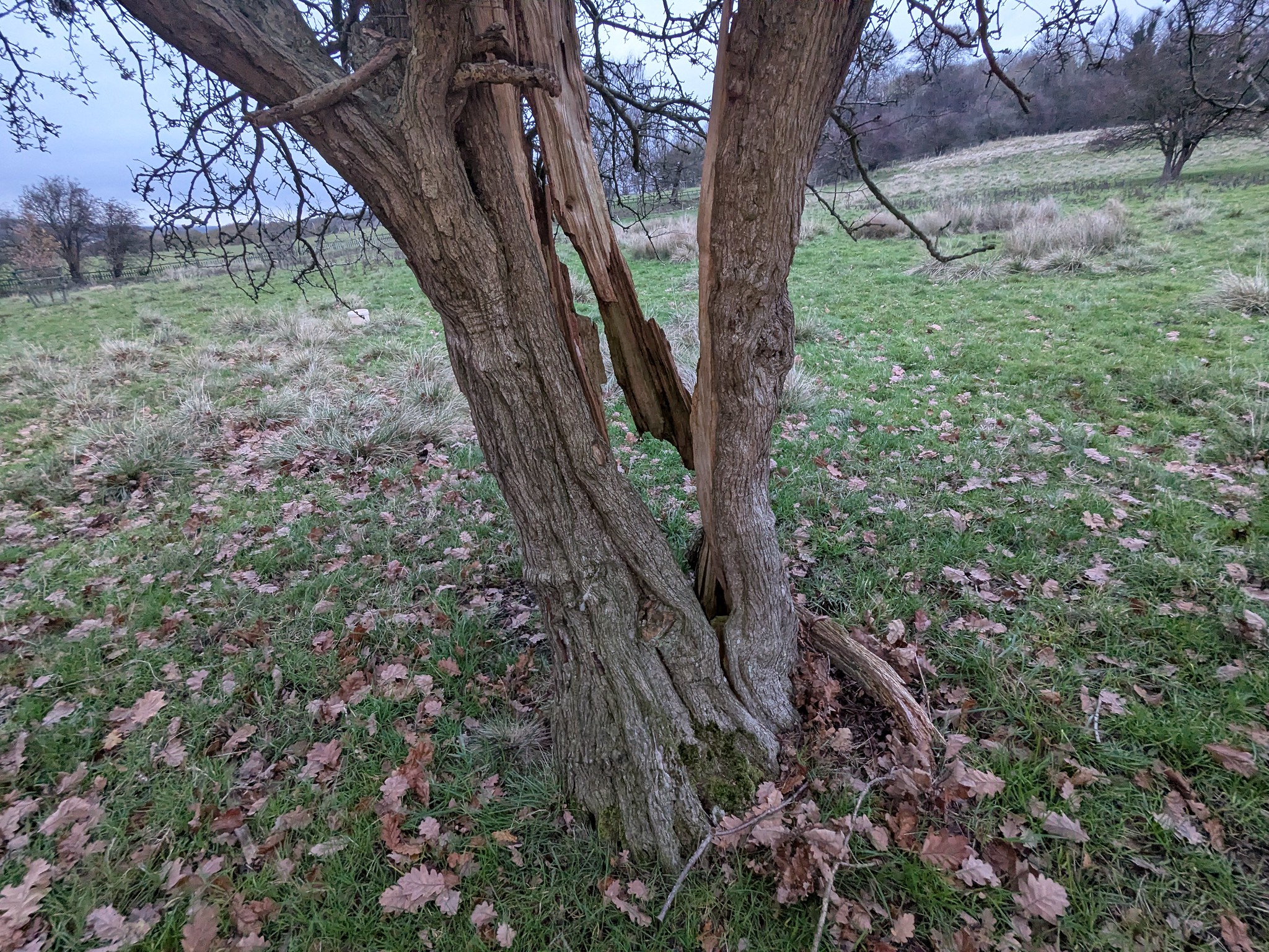 54950633185_115f31998e_k