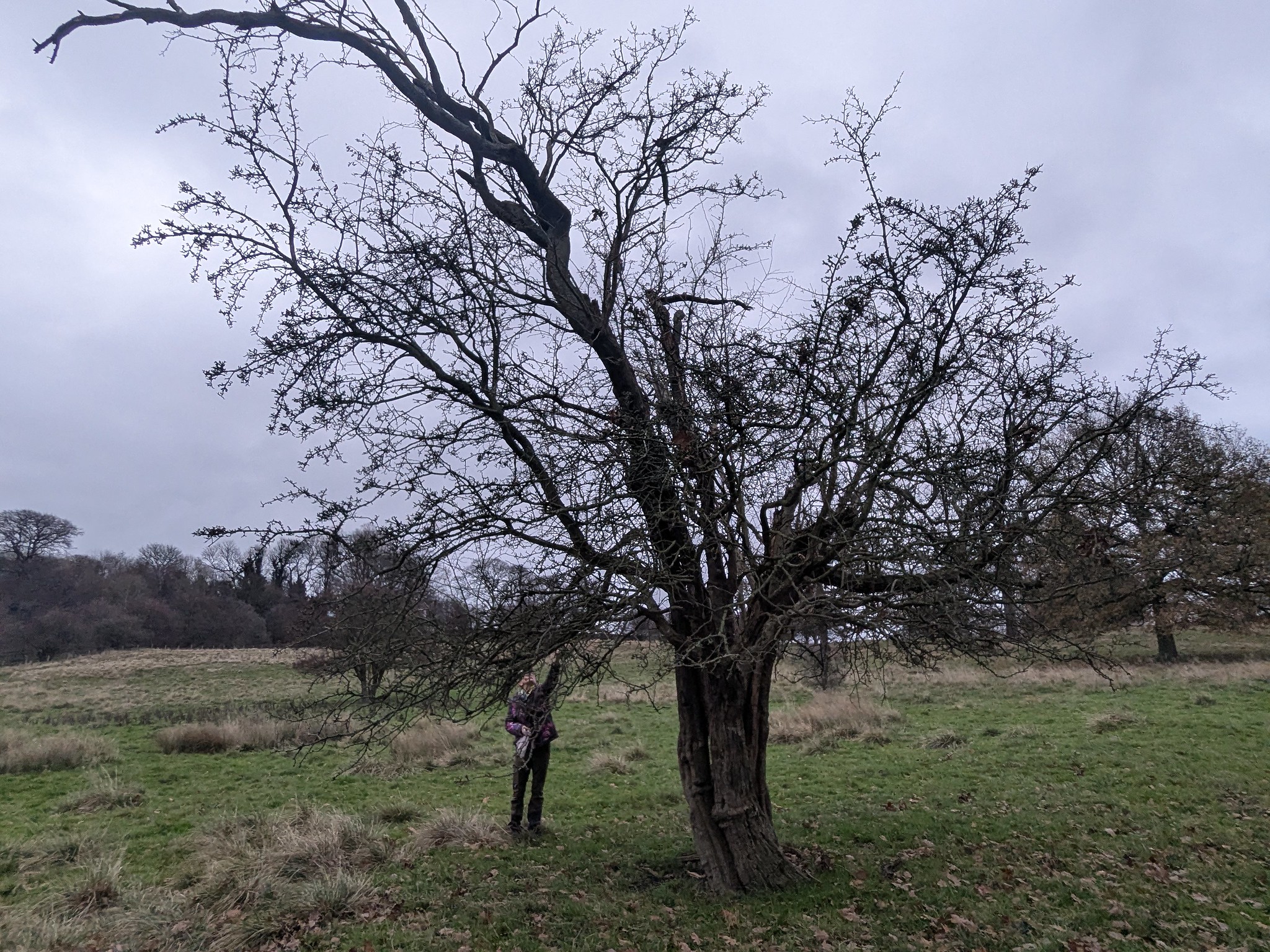 54950633450_cf0fe0f957_k