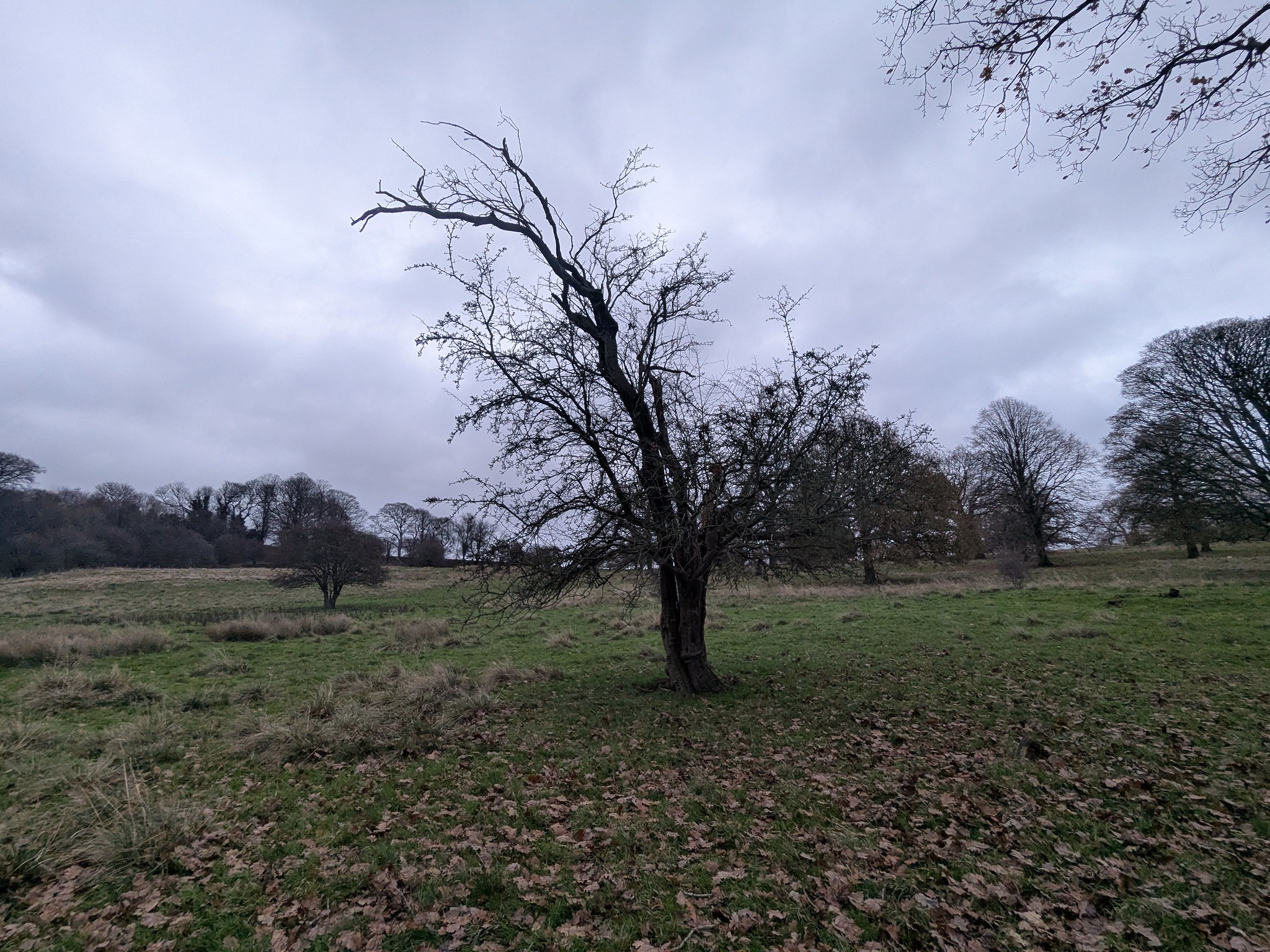 54950633515_fdb436eacd_k