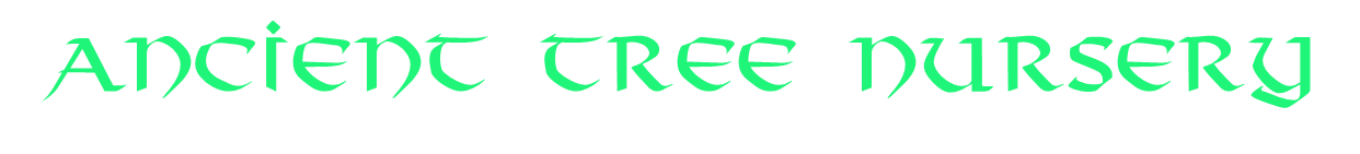 Ancient Tree Nursery