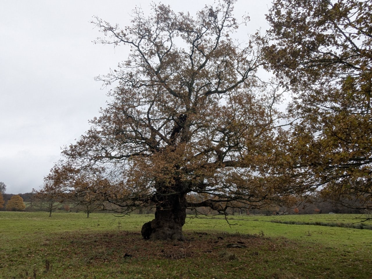 54962882657_333f1d1ec0_o