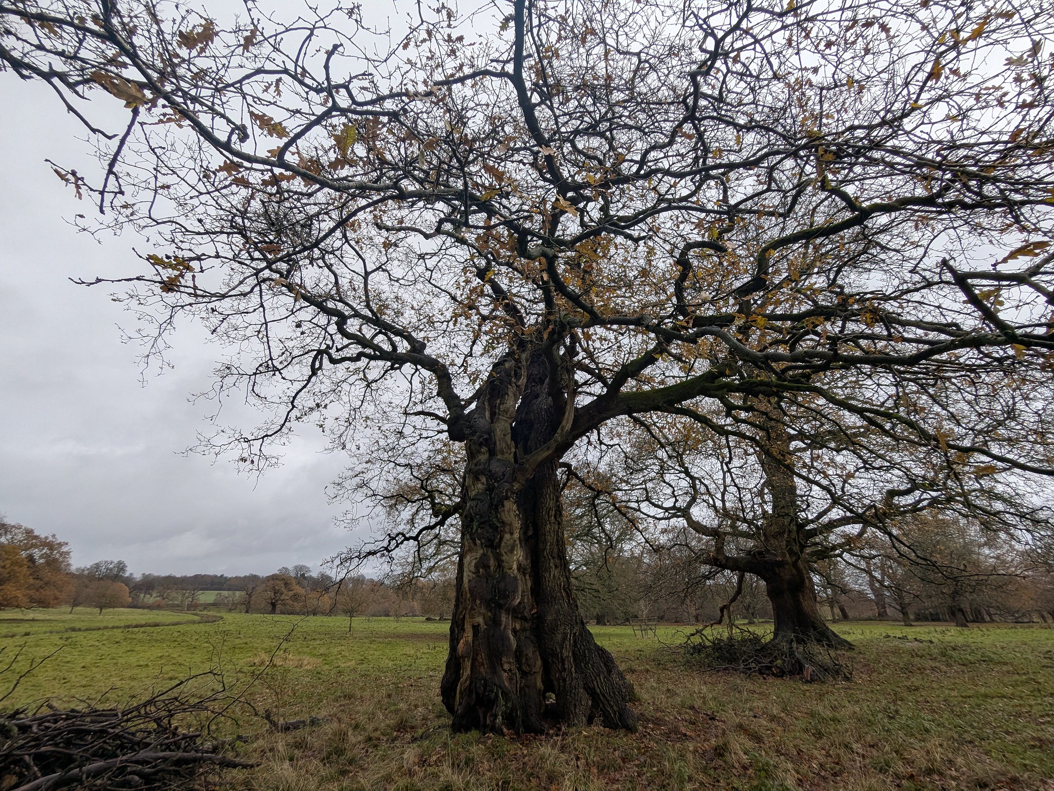 54962883572_0efc7a24bc_k