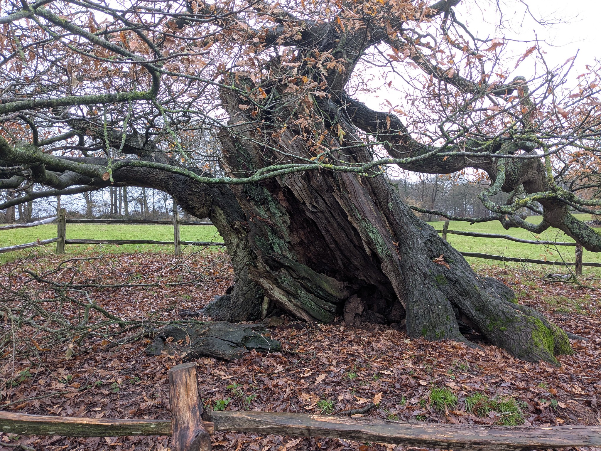 54962885487_21f69c5cd8_k