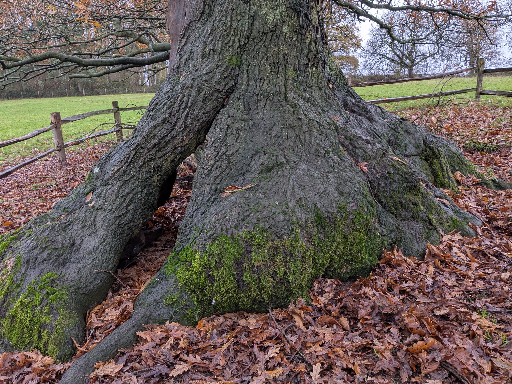 54962885932_ad2e32e8c5_k