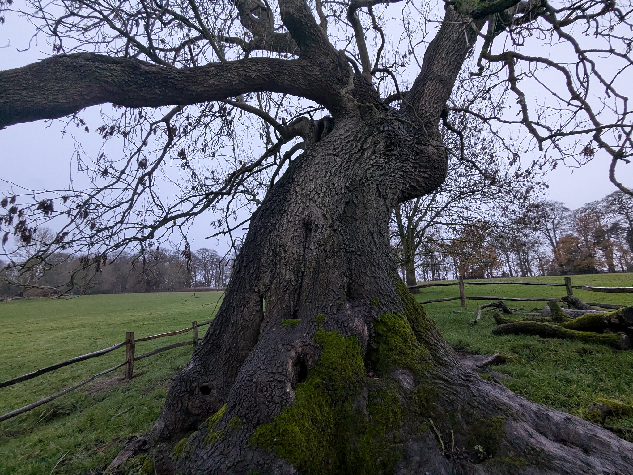 54962915537_b2e834df98_k