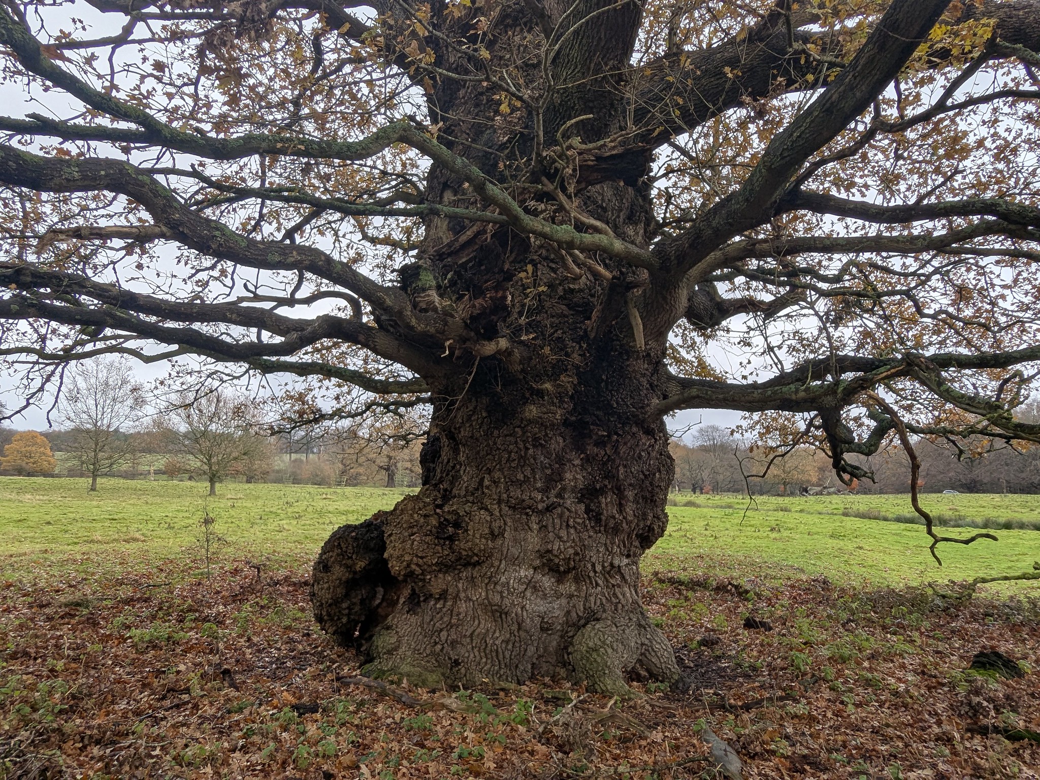 54963771876_fcc1eb7f69_k