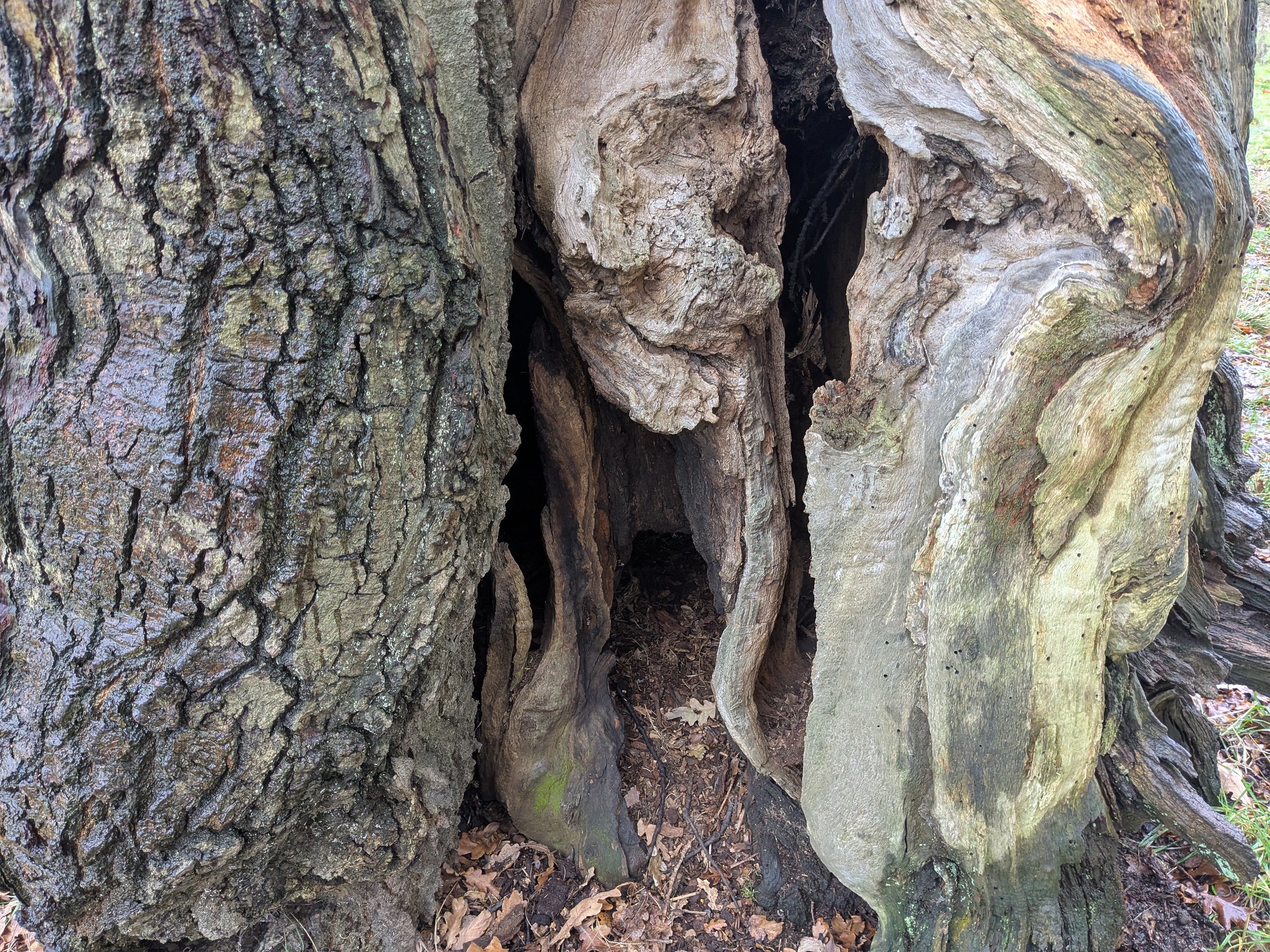 54963773316_e6e009780b_k