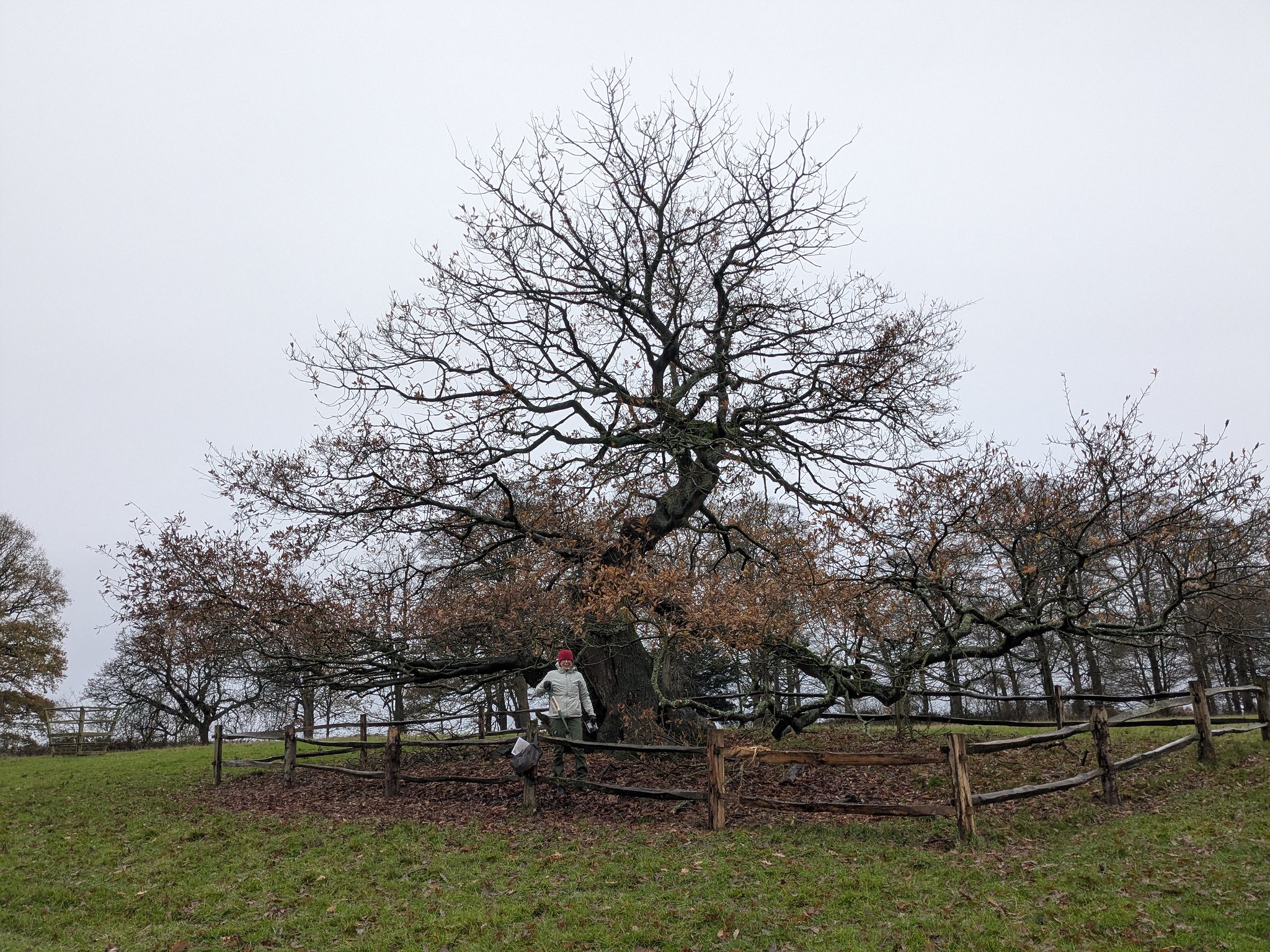 54963956488_b8c946dddf_k