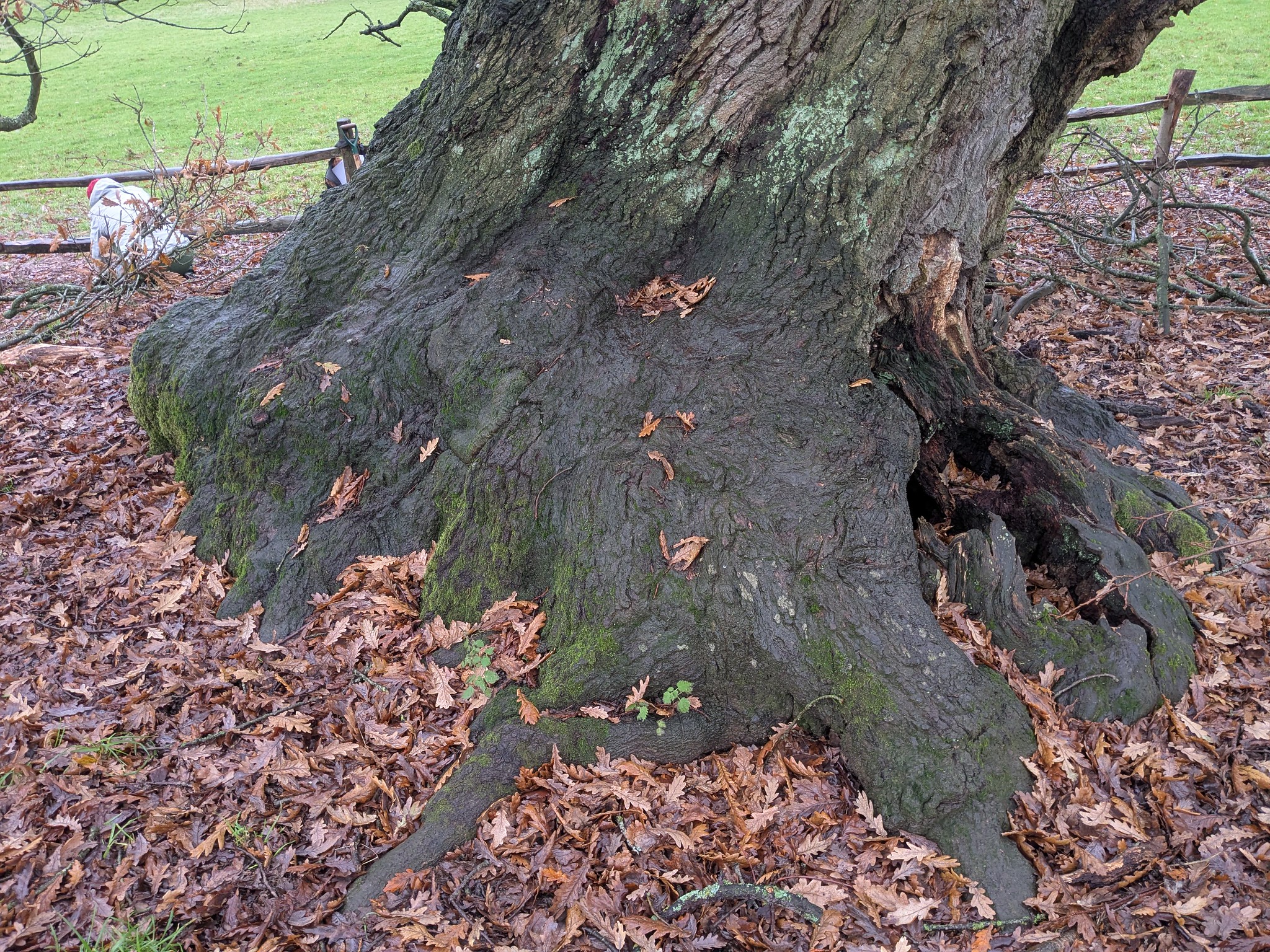 54963957253_7c5646423d_k