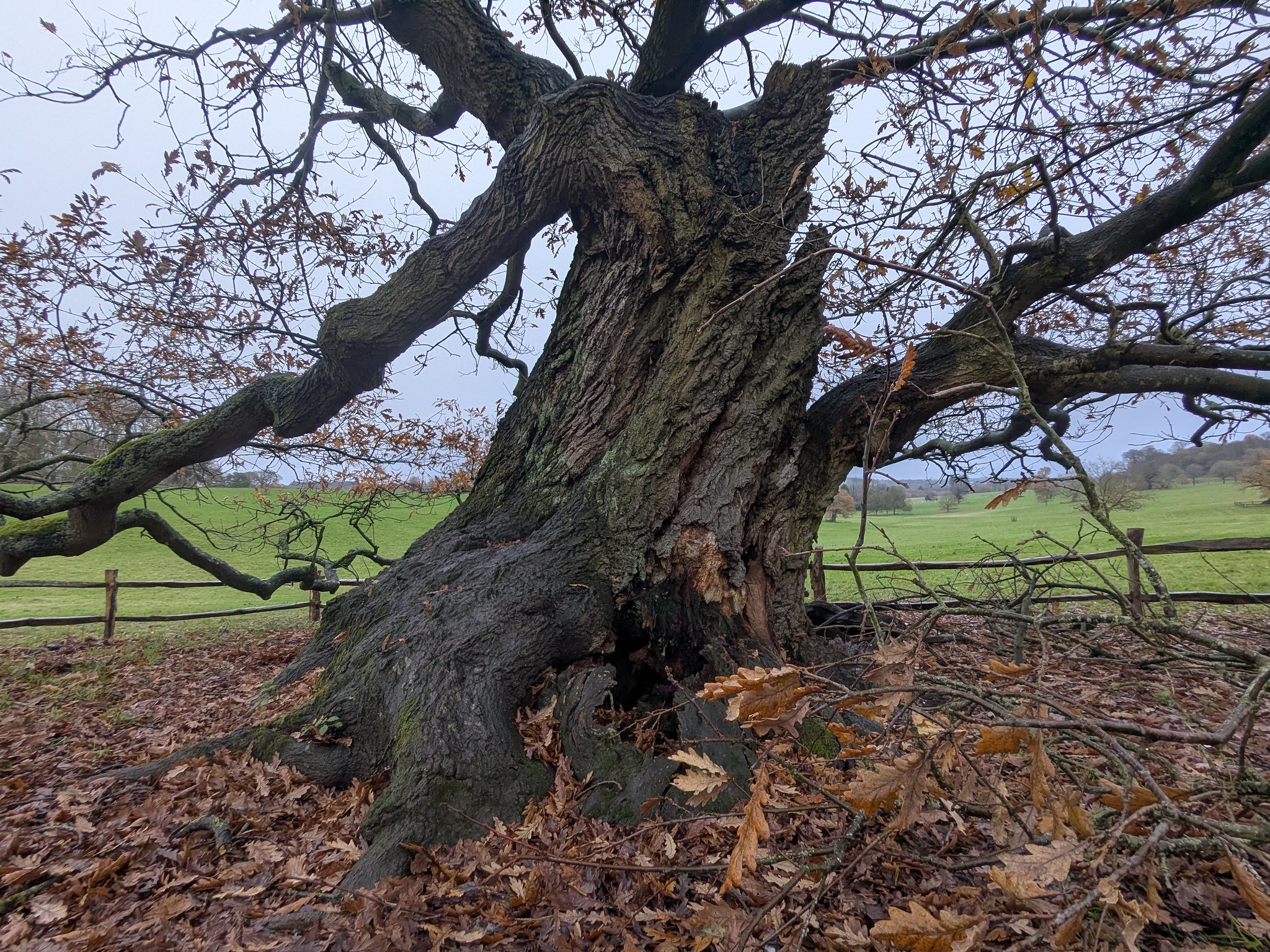 54963984488_04576a61a0_k