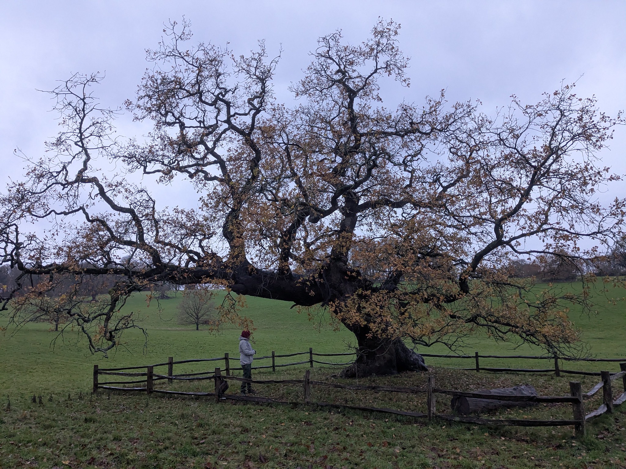 54963985198_ef35a70b7c_k