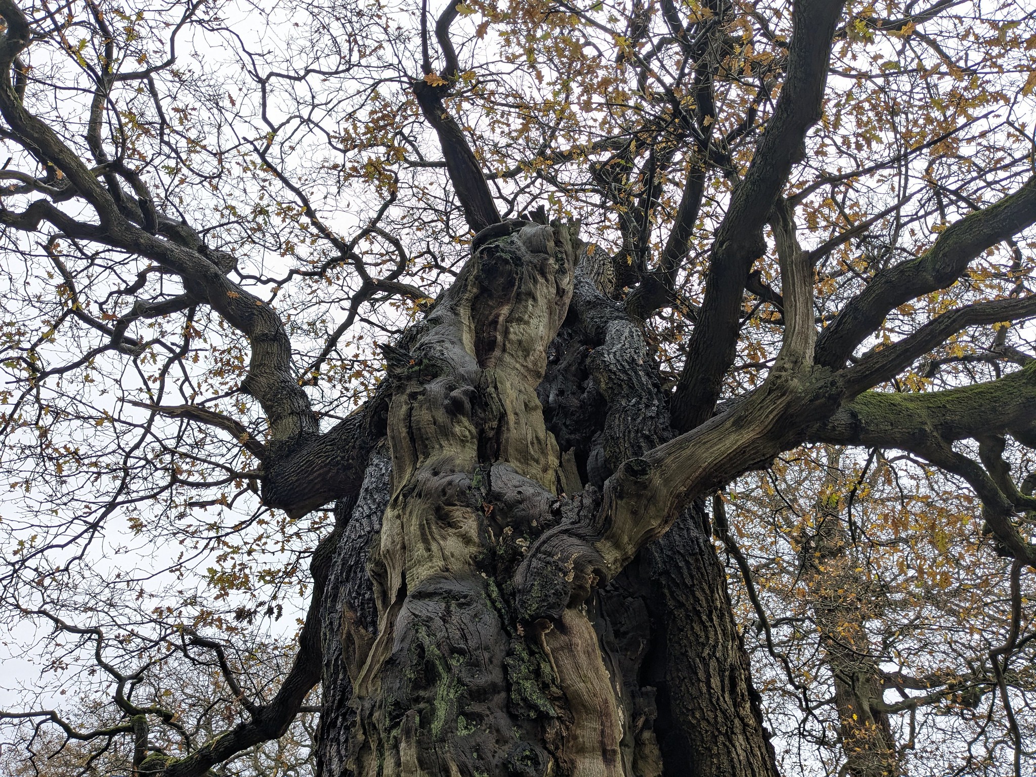 54964030314_340d1cd2c7_k