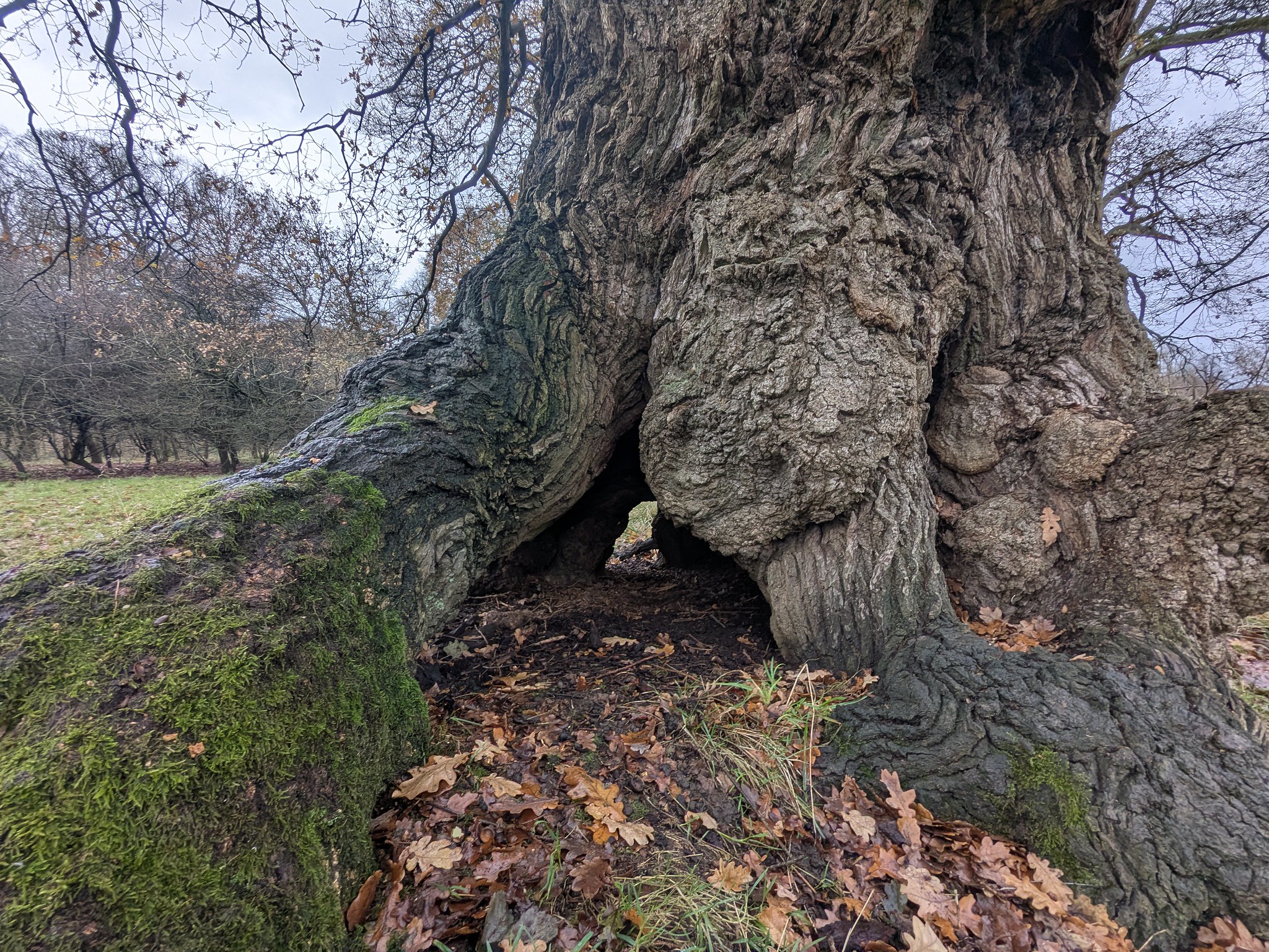 54964030574_e59dae5674_k