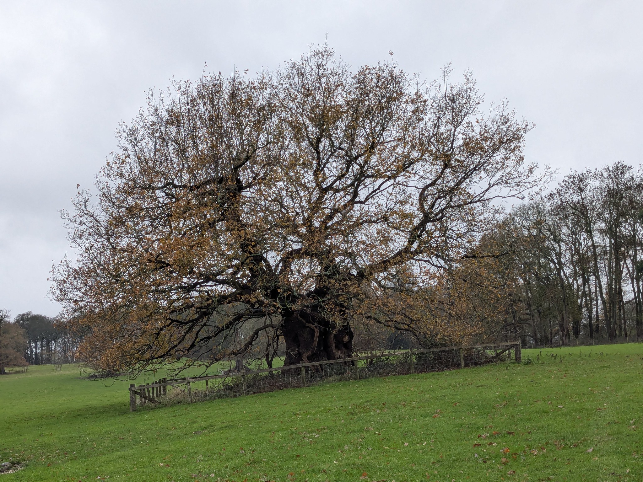 54964030764_07999c6b10_k