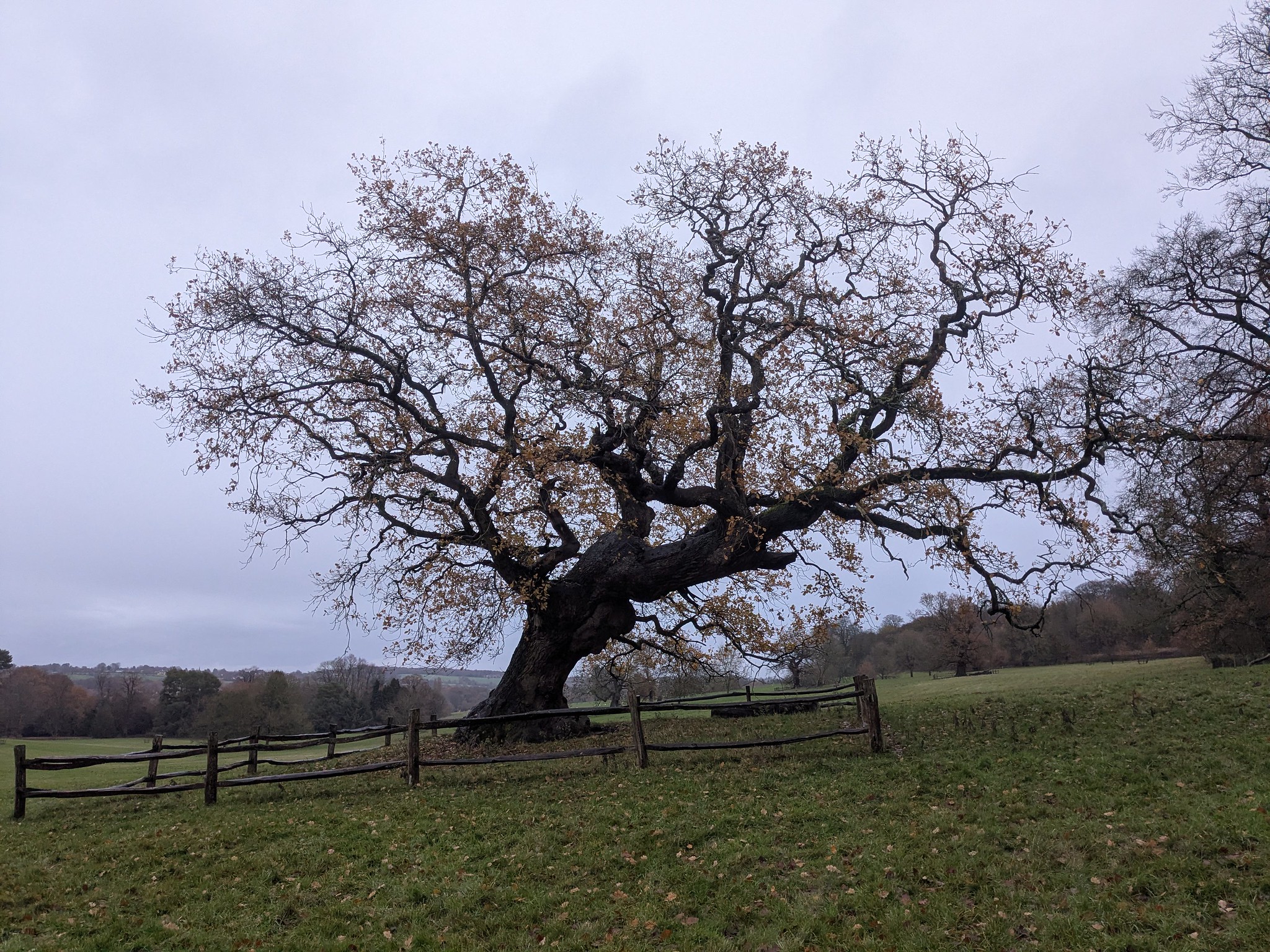 54964059849_818b9dcbd0_k