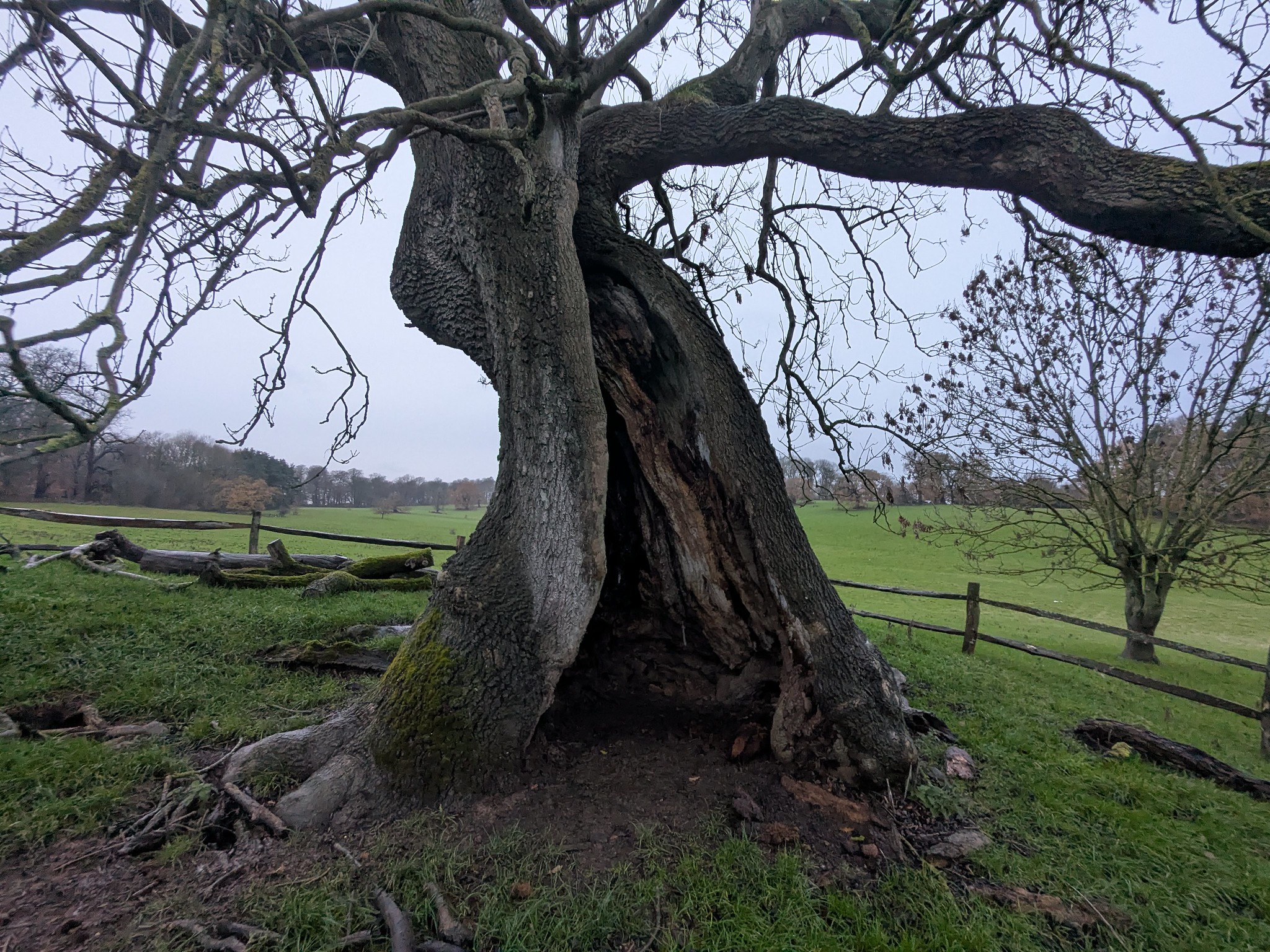 54964060569_abfc95d3bb_k