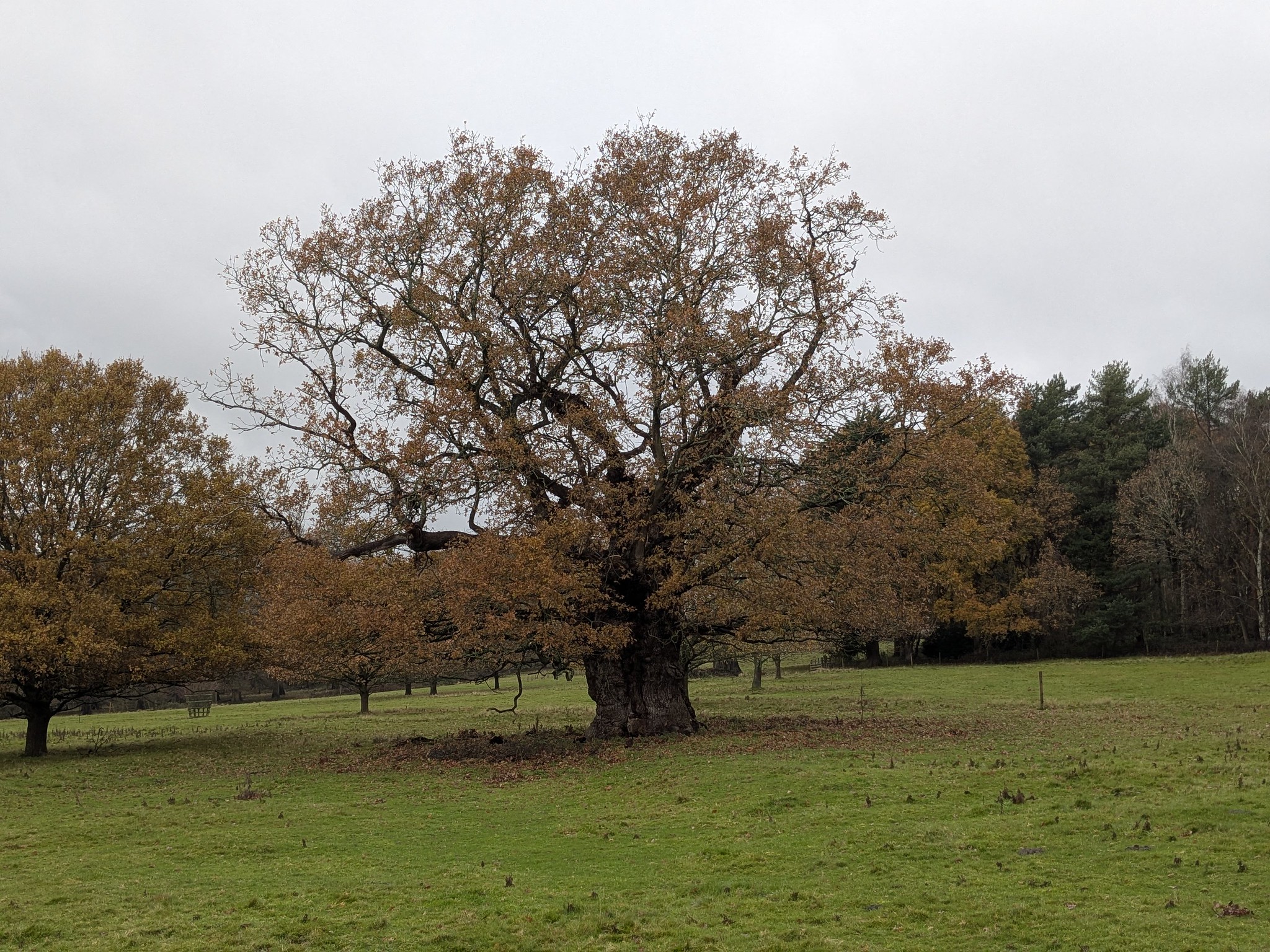 54964077290_b128774fb7_k