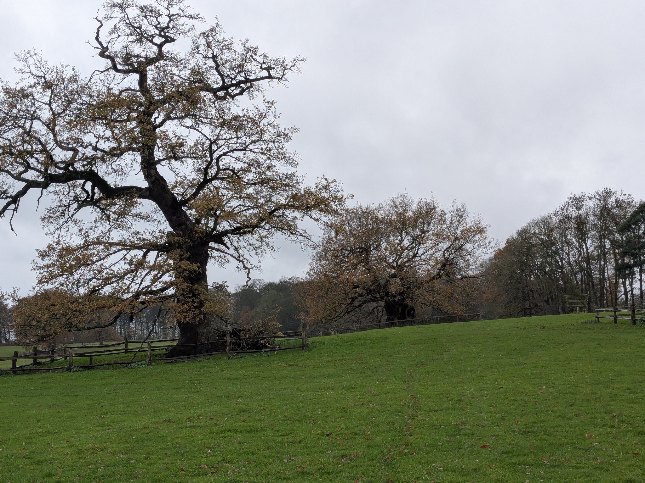 54964079480_16c89ec0d5_k