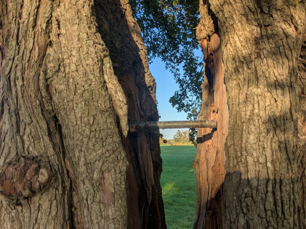 54837062245 c4b28e50fa o 54837062245 c4b28e50fa o