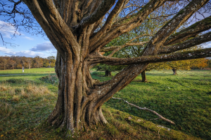 ChatGPT Image Feb 24 2026 05 32 02 PM 300x200