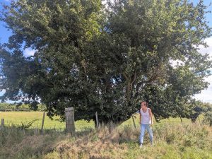 54696276104 74777fe08e c