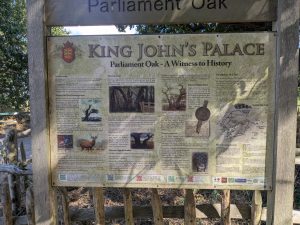 54747613957 cd8eb4be6d o