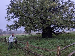 54924912837 3d2fbd94c0 o