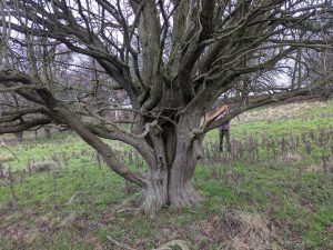 54949445212 52d7aee49c o