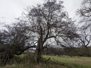 54950331426 c21f43f36c o