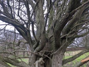 54950332151 d370437fea o