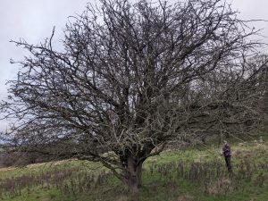 54950631680 3ece9466dd o