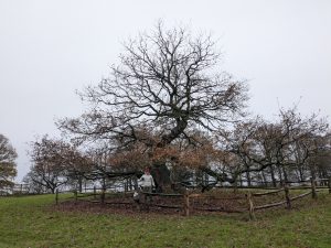 54963956488 d08c2e7fb5 o