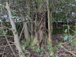 55103738061 b055a536cb o