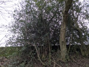 55103943863 9a0e795042 o