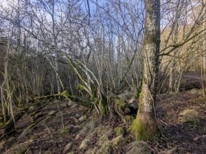 55110613240 231db23d4b o