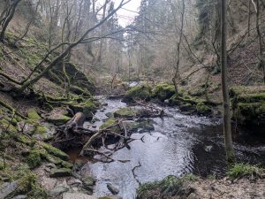 55111116630 34fe2a1b71 o