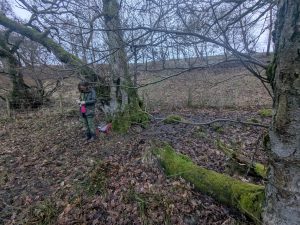 55121002737 71d7a022a2 o